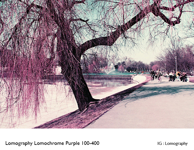 Lomography Lomochrome Purple 100-400