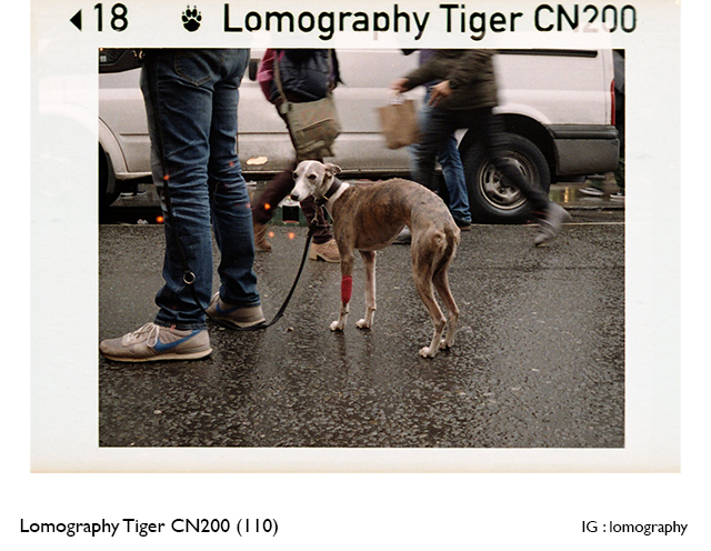 Lomography Tiger CN200 (110)